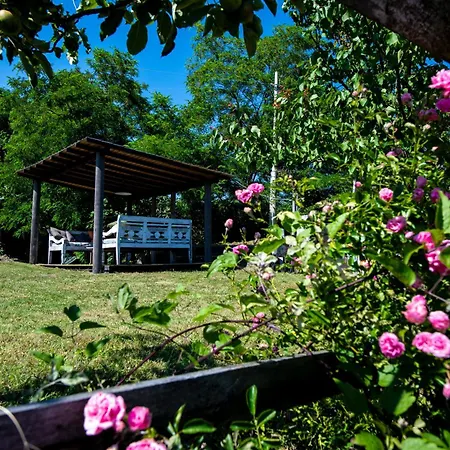 206 - Betulla, Giardino E Piscina - Cherry House Carro