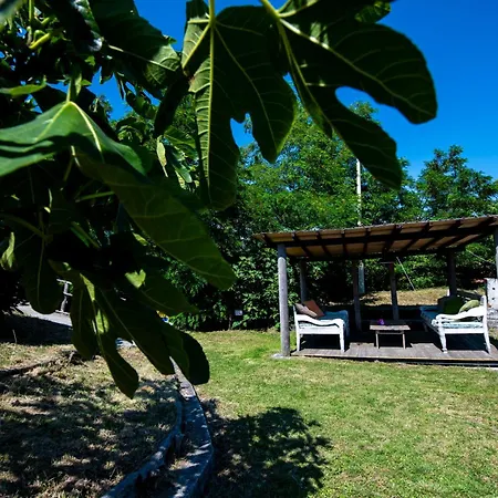206 - Betulla, Giardino E Piscina - Cherry House
