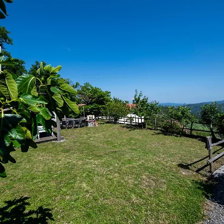 206 - Betulla, Giardino E Piscina - Cherry House
